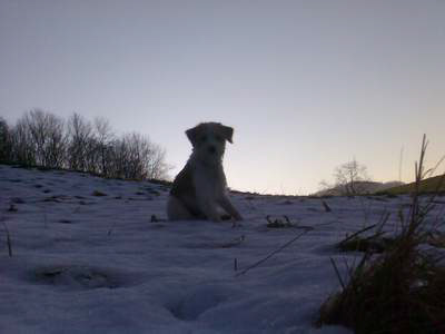 Winterabend