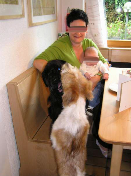 babybesuch