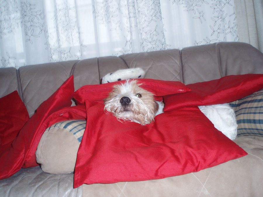 januar2010