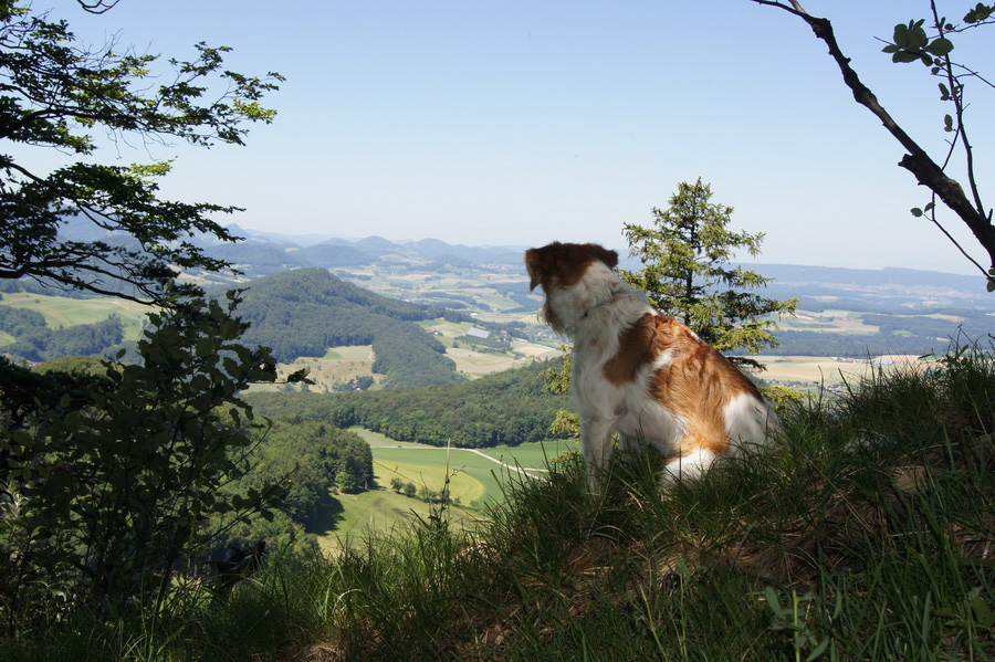 juni2011