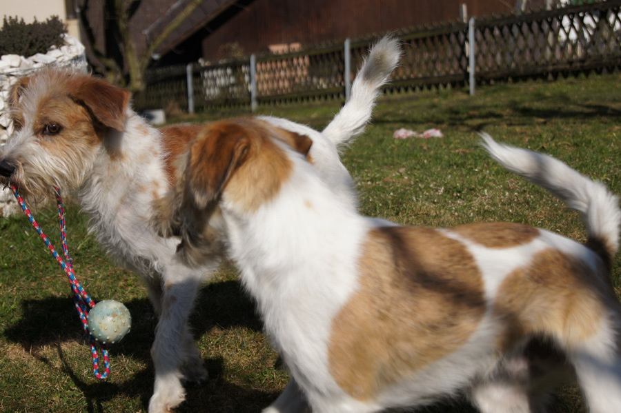 spielen