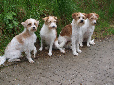 14052011_quaste_katla_tuba_tara
