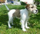 14_wochen