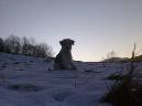 Winterabend