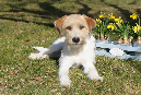 april2012_wurzel