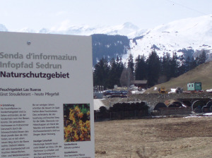 Naturschutzgebiet in Rueras, ein Kromfohrländer macht sich so seine Gedanken...