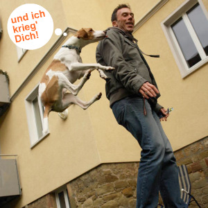 Boy-Henry, ein Kromi-Mischling will küssen!