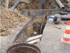 ein Kromfohrländer auf der Baustelle