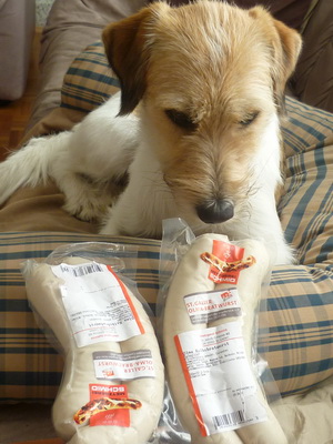 St. Galler Bratwurst Hund