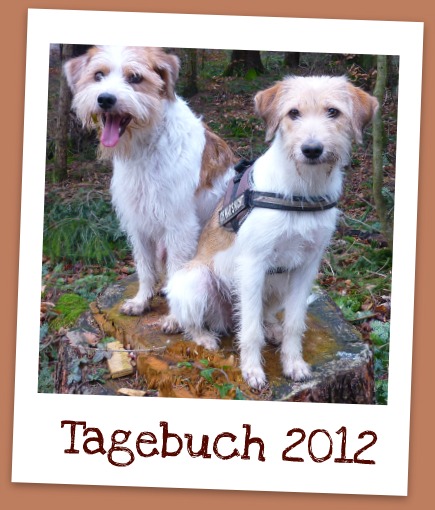 Tagebuch von Tuba von der Holderheide 
